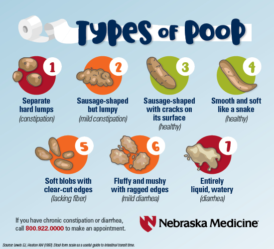 Poop Infographic Blog 